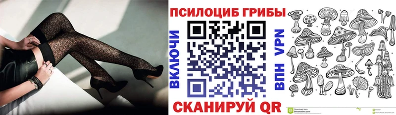 Галлюциногенные грибы Psilocybine cubensis  Хотьково 